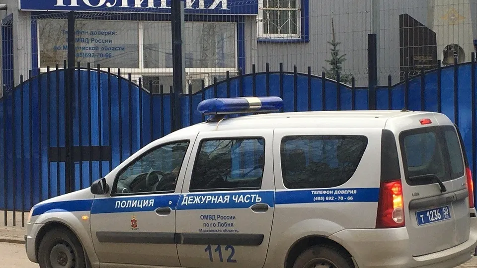 Фото: ОМВД России по г.о. Лобня