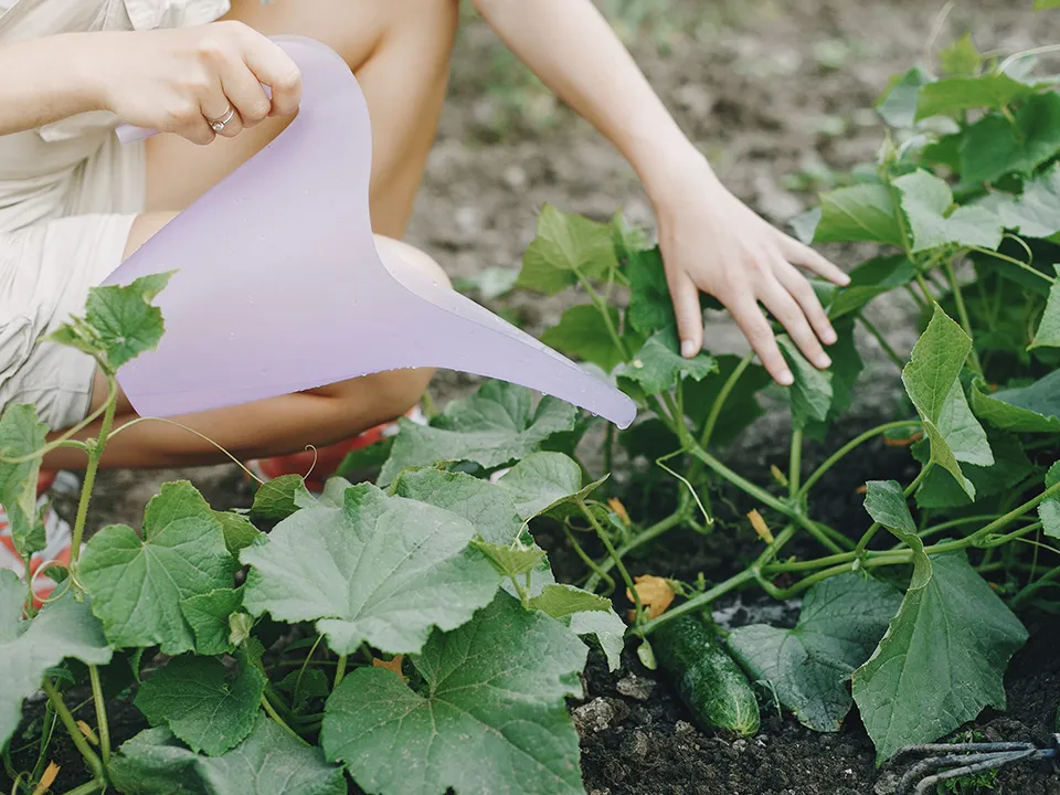 Фото: freepik.com