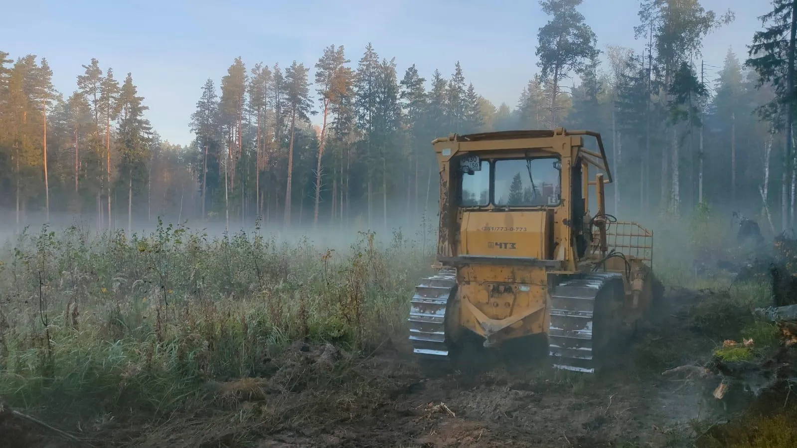 Фото: Комитет лесного хозяйства Московской области