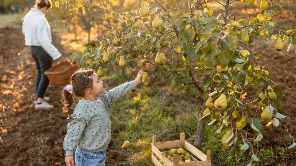 Фото: istockphoto.com
