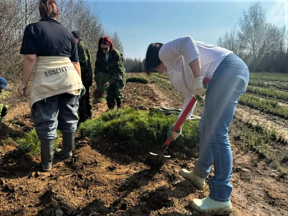 Фото:&nbsp;Комитет лесного хозяйства Московской области