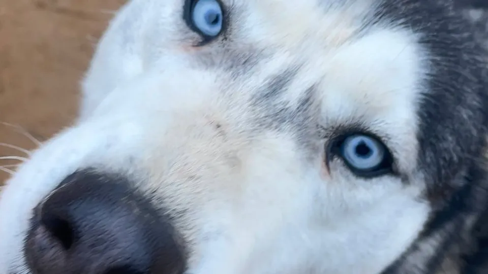 Фото: t.me/mmtehnikum