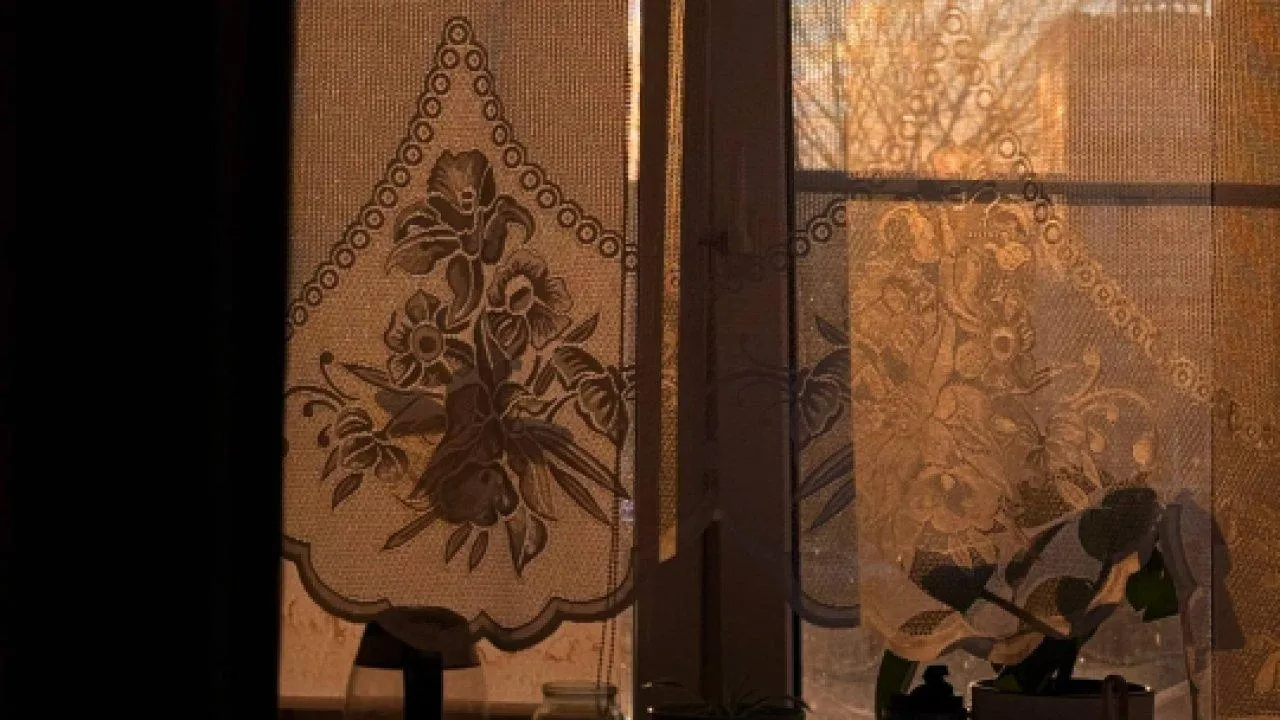 REGIONS/Дарья Кудинова