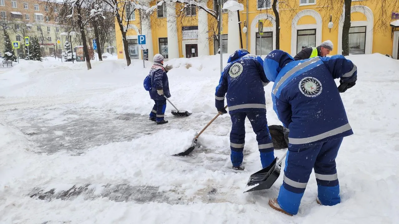 REGIONS/Ольга Аввакумова