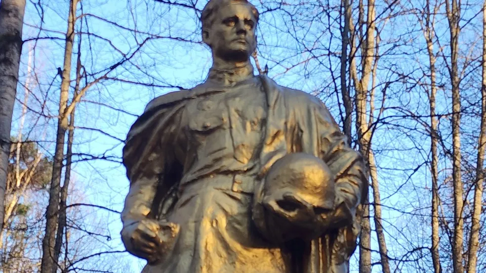 Фото: МедиаБанк Подмосковья/Хавива Фонина