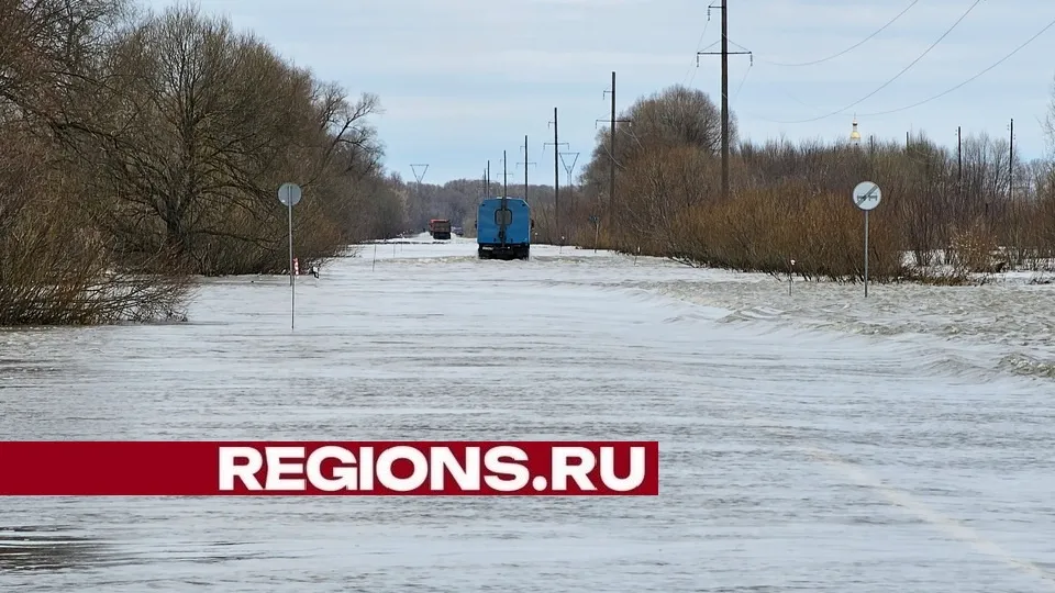 Фото: Александр Дрожжин