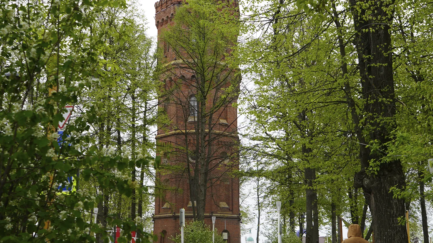 Фото: Екатерина Елисеева