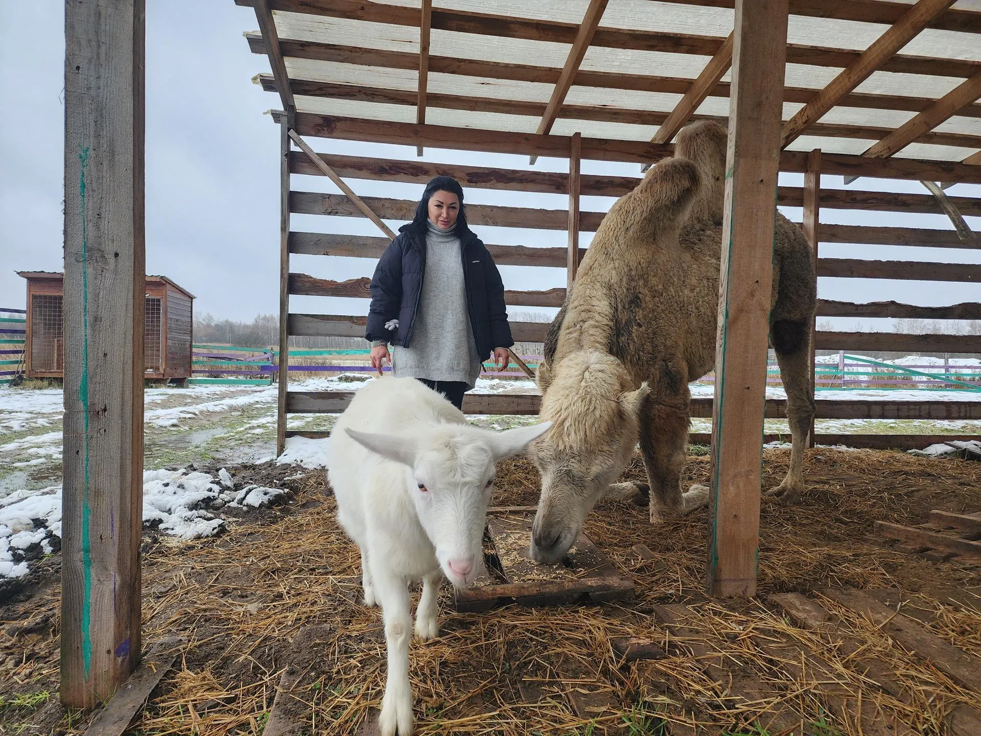 фото: Юлия Андросова