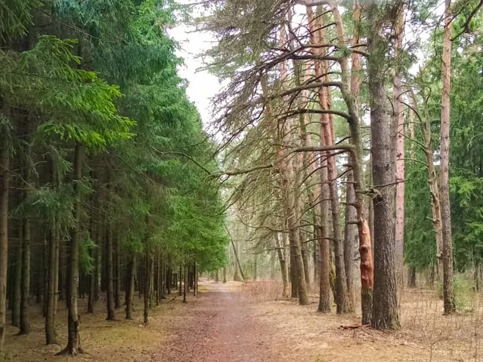 Фото: Физкультурно-оздоровительный комплекс г.о. Щелково