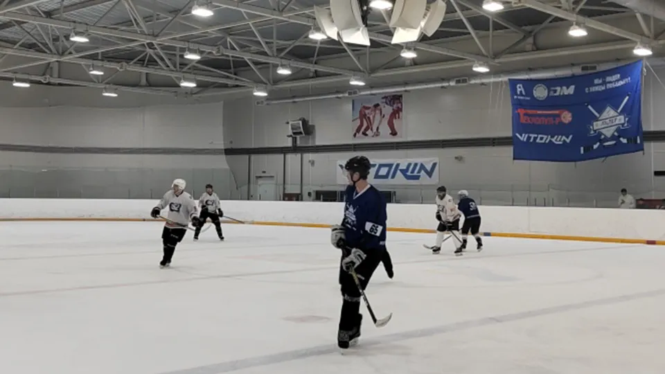 Фото: МедиаБанк Подмосковья/Константин Гергая