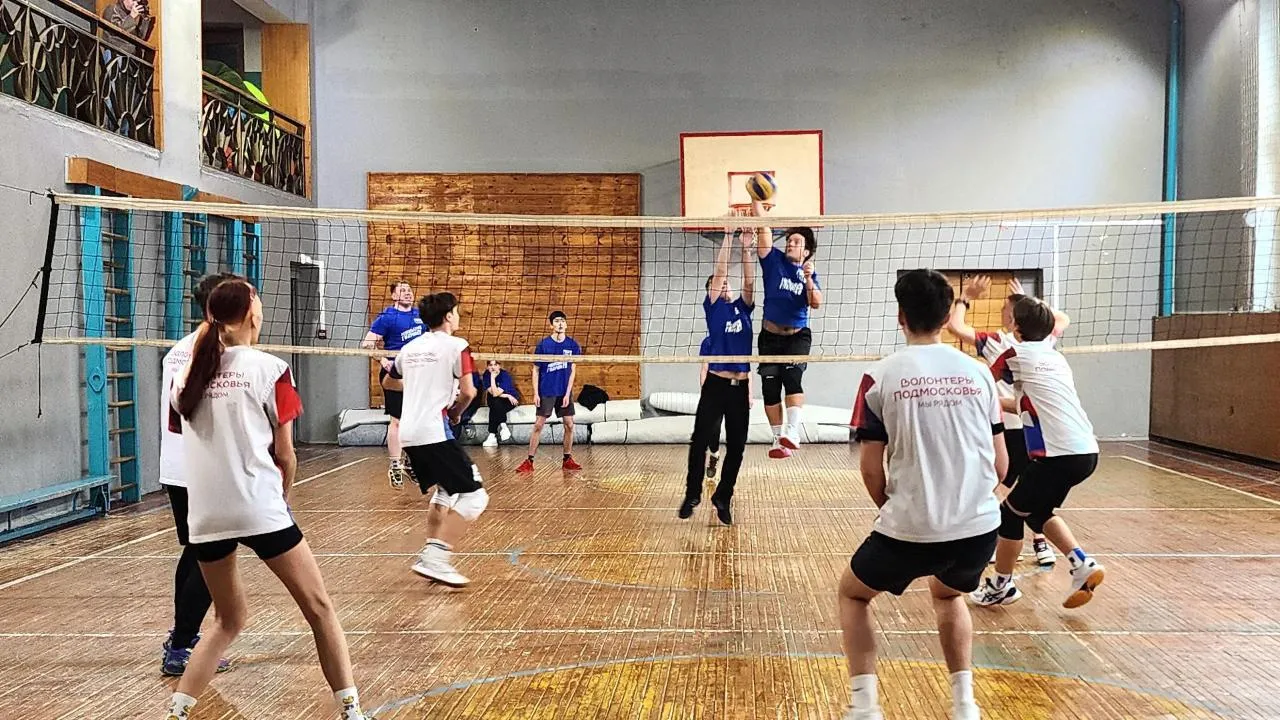 REGIONS/Полина Пахомова