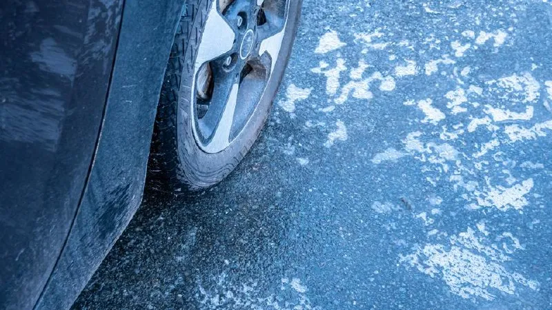 Фото: istockphoto.com/Animaflora