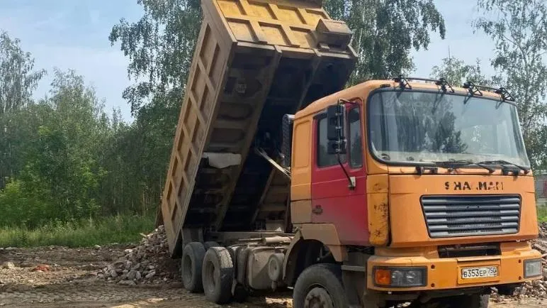 Фото: Антон Чернов «Подмосковье сегодня»