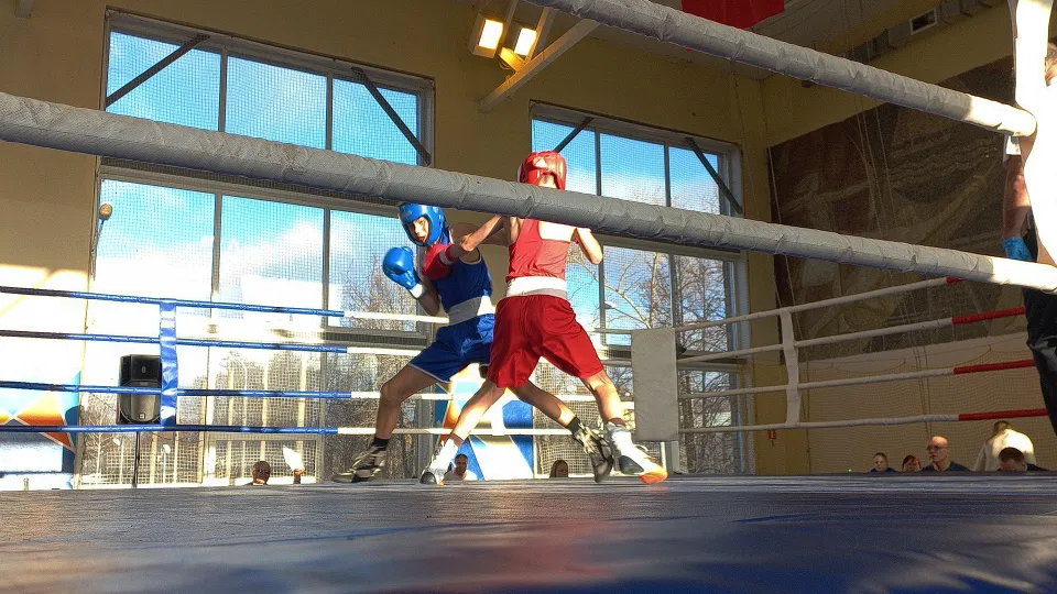 Фото: Нина Басистая