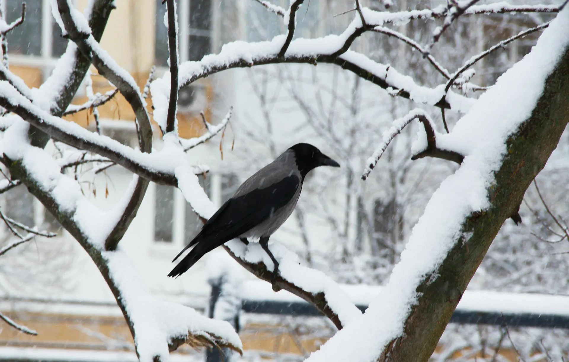 Roman Denisov/Global Look Press