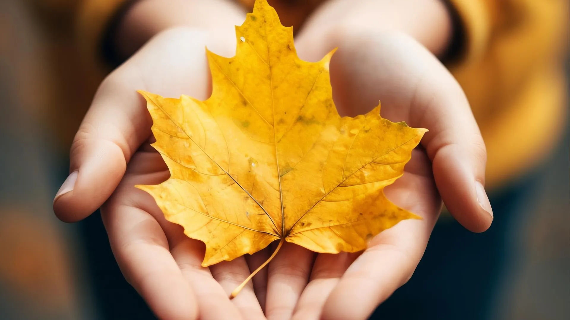 медиасток.рф