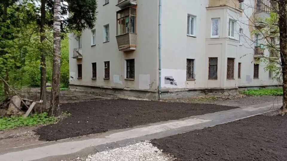 Фото: пресс-служба администрации г.о. Балашиха