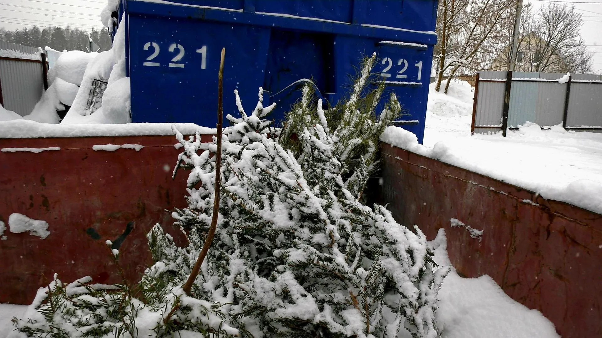 МедиаБанк Подмосковья/Юлия Андросова