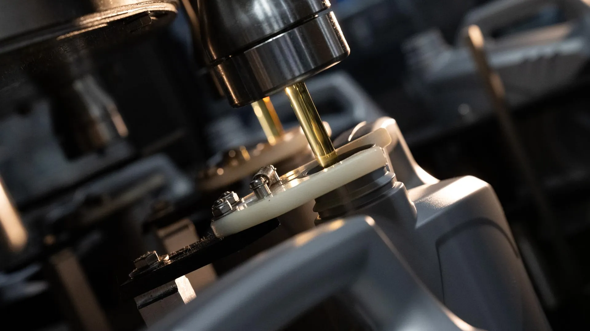 Стоян Васев