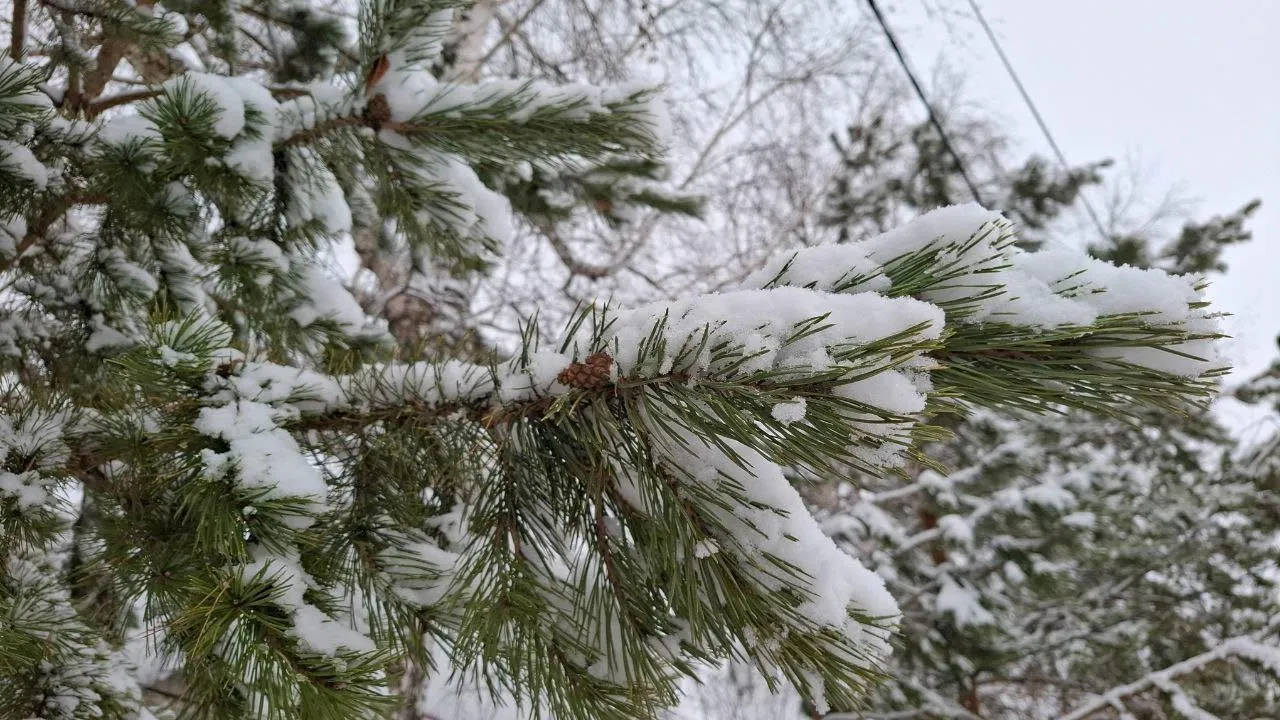 REGIONS/Юлия Габбасова