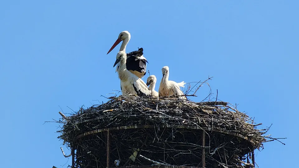 Фото: Екатерина Данилина