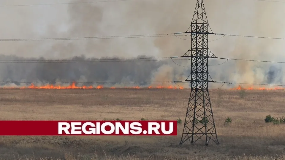 Фото: Александр Дрожжин