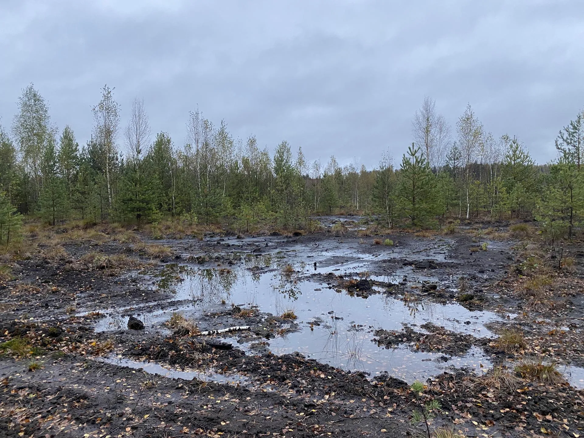 Фото: Дарья Шапочкина