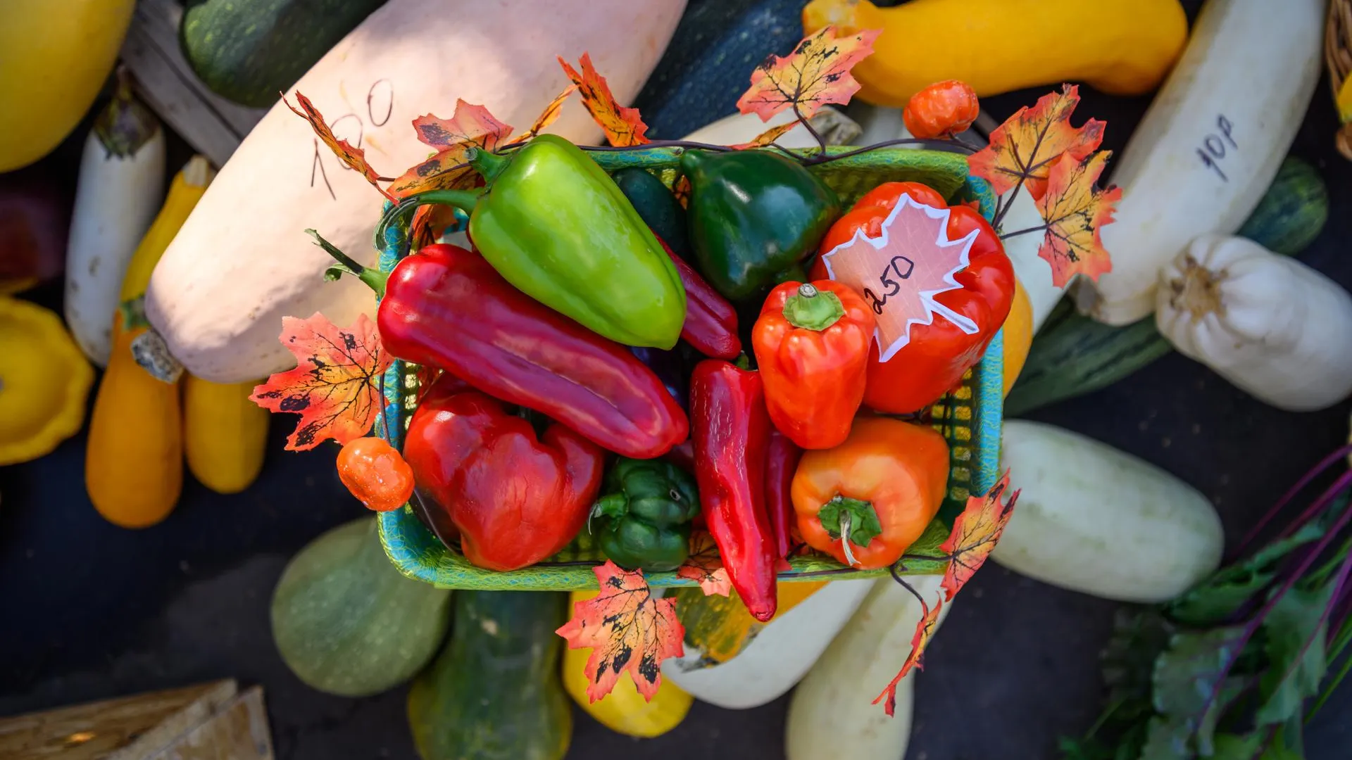 медиасток.рф