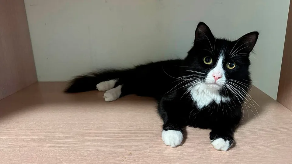 Фото: личный архив Екатерины Васильевой