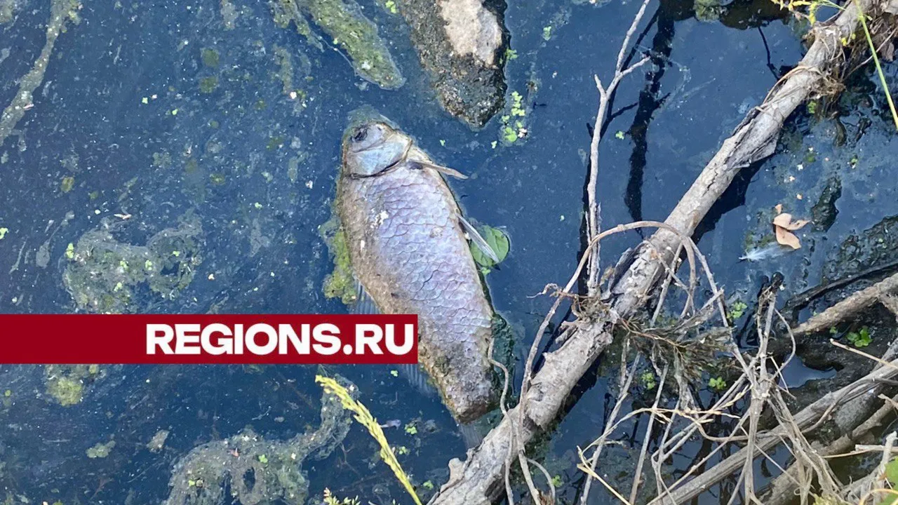 Фото: Сергей Букин