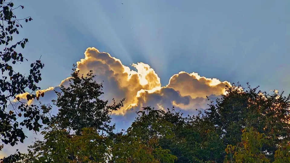 Фото: REGIONS/Алексей Селиверстов