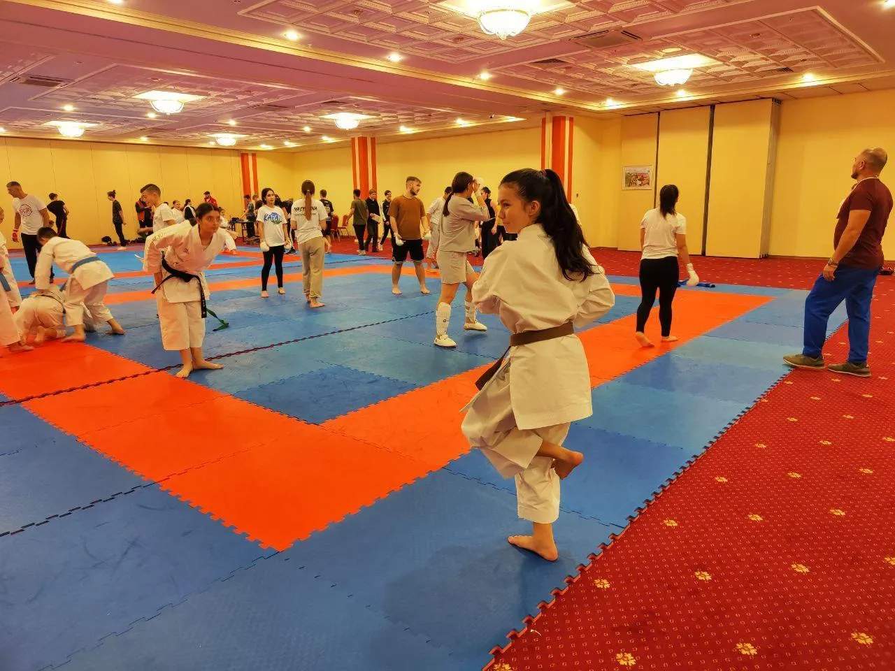 Архив Алисы Ахмедзяновой