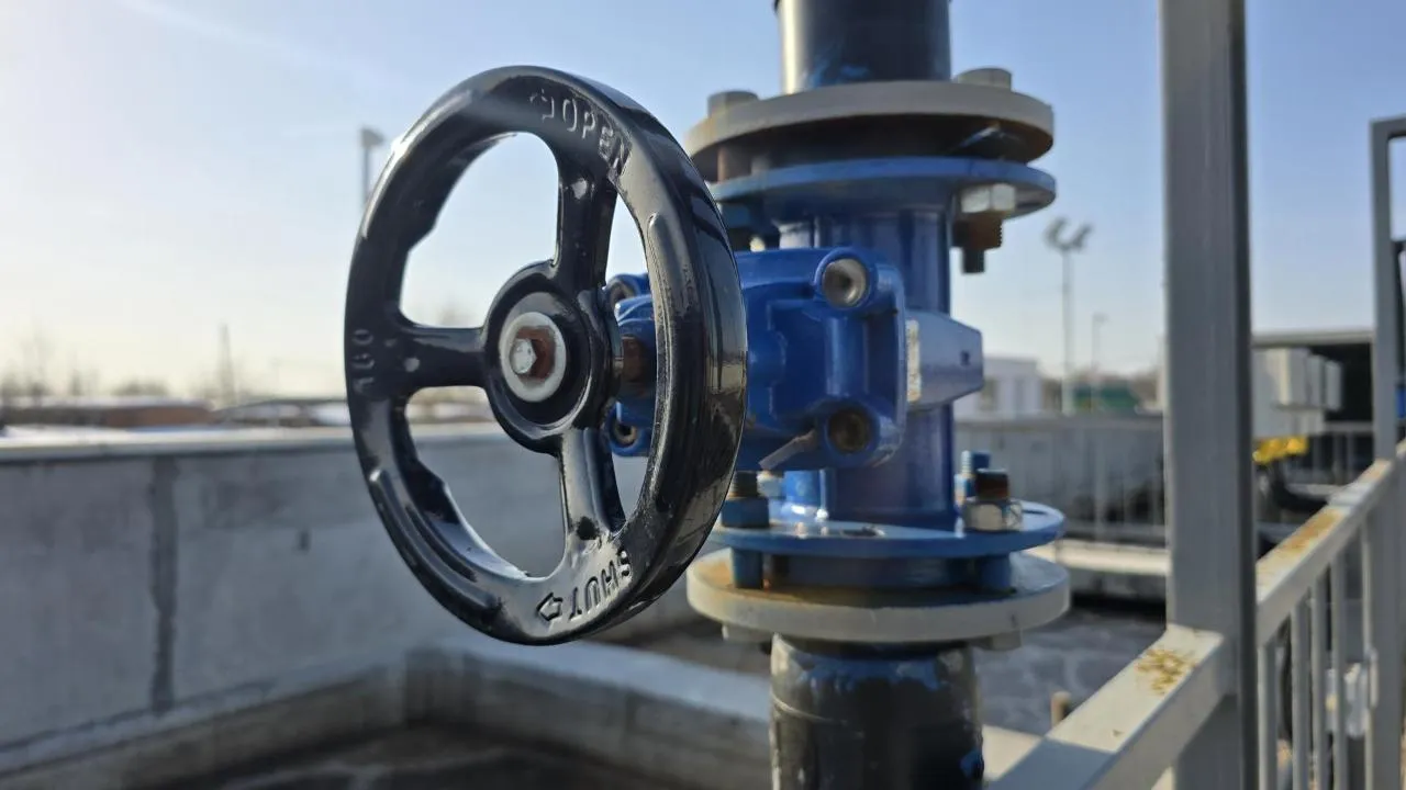 МедиаБанк Подмосковья/Марина Анисимова