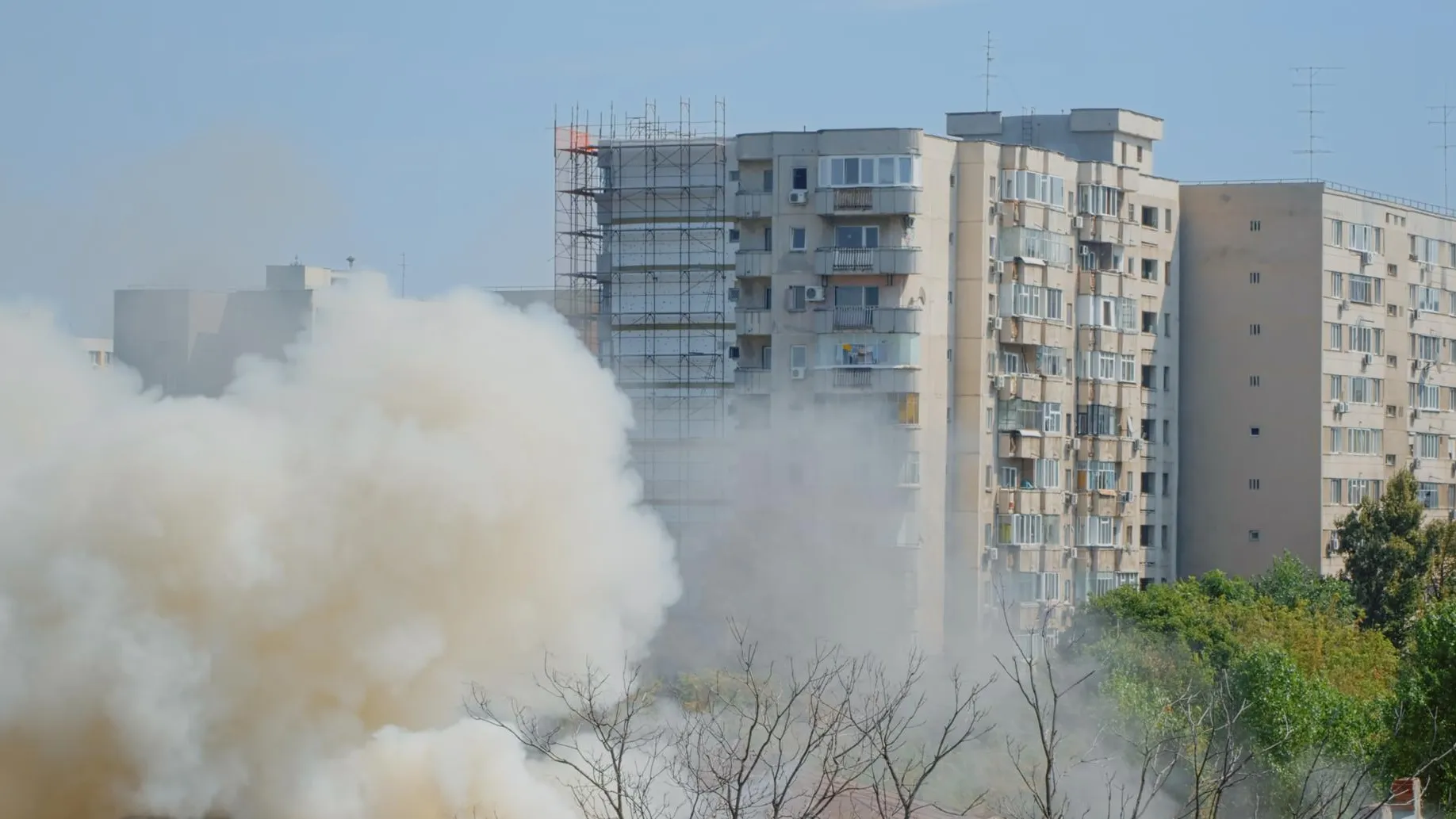 Фото: https://ru.freepik.com