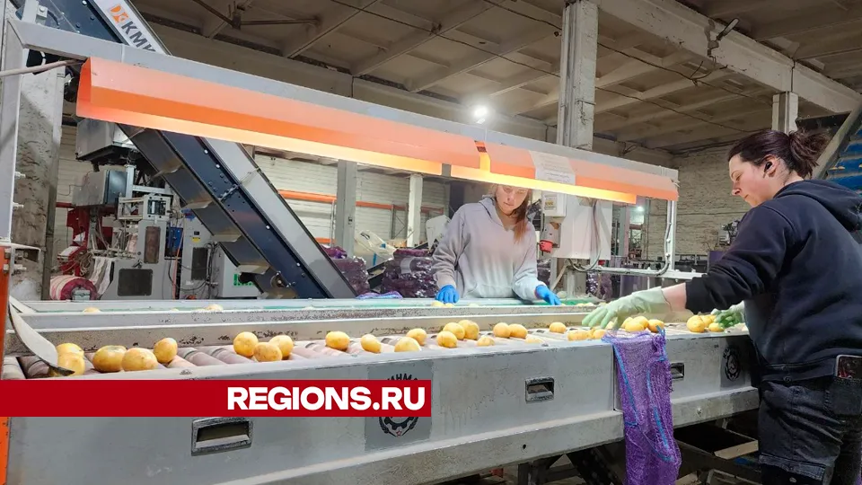 Фото: Юлия Андросова