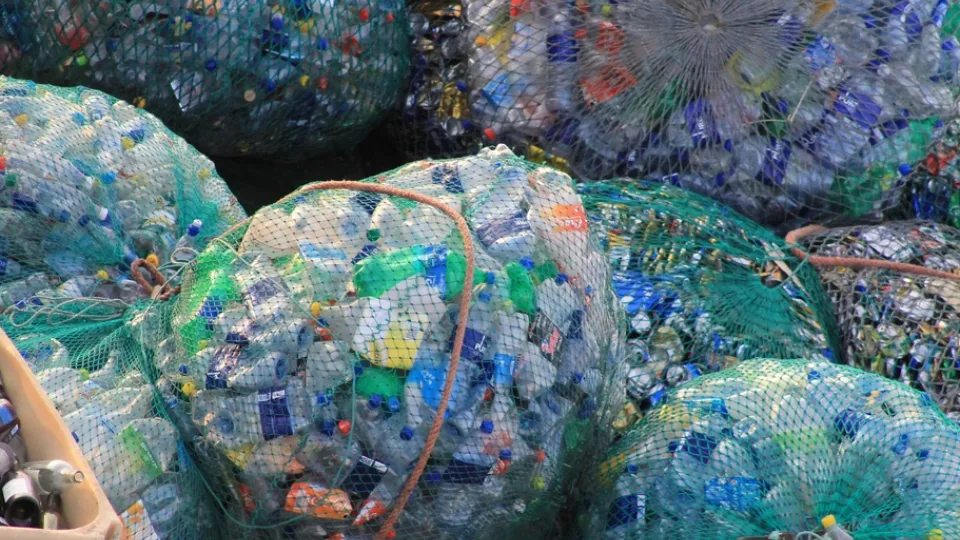 Фото: pxhere.com