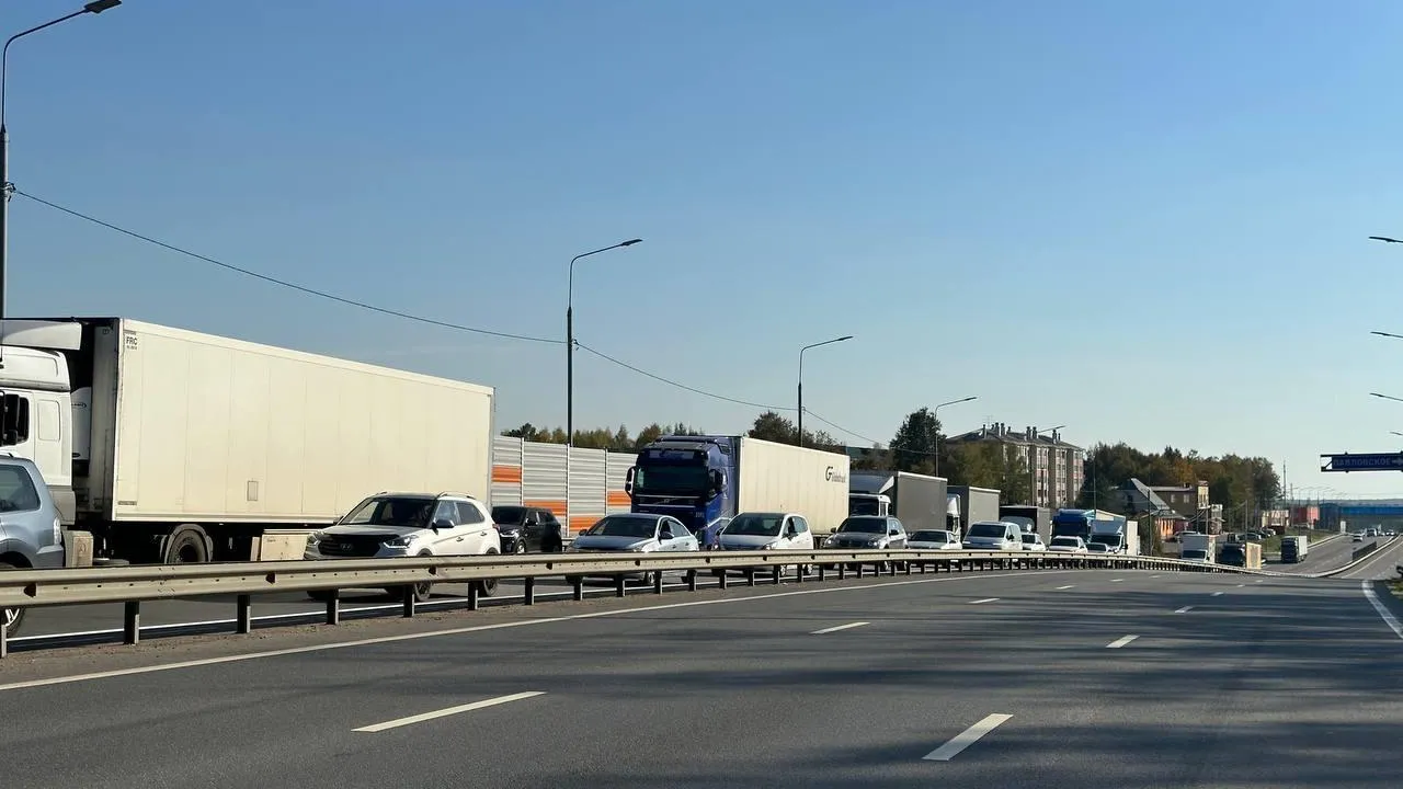 Фото: Светлана Борщева