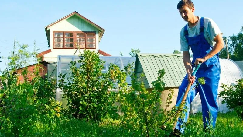 До свидания, дача: как подготовить загородную недвижимость к продаже 