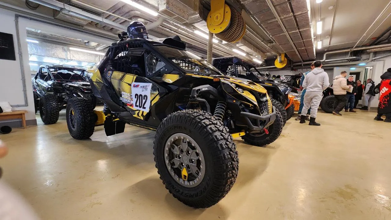 REGIONS/Екатерина Данилина