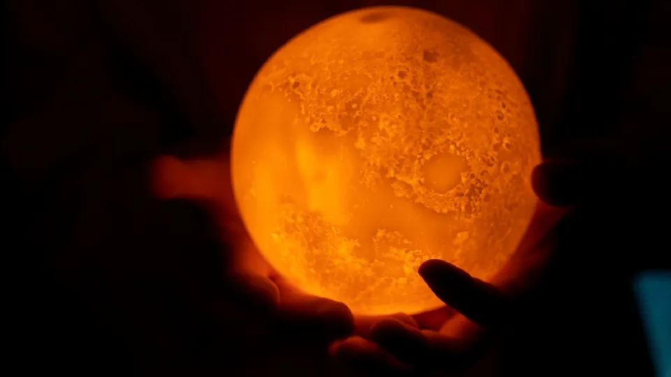 Фото: freepik.com