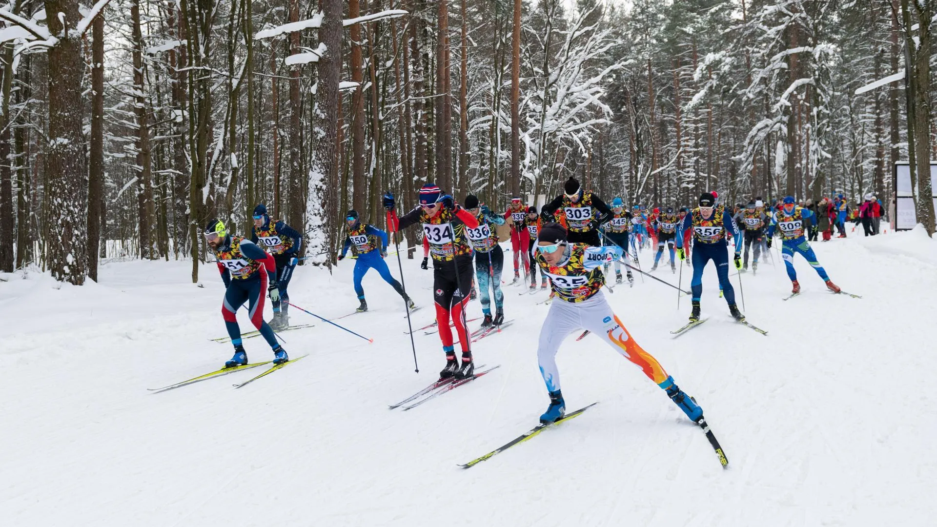 Фото: Владимир Думчев