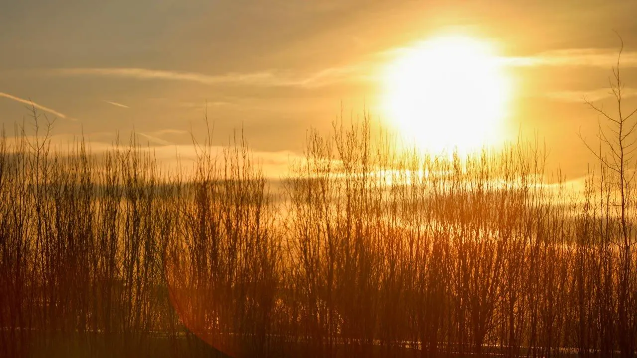 REGIONS/Роман Малышенко