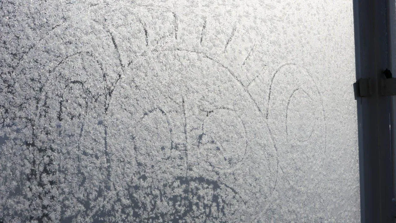 REGIONS/Роман Малышенко