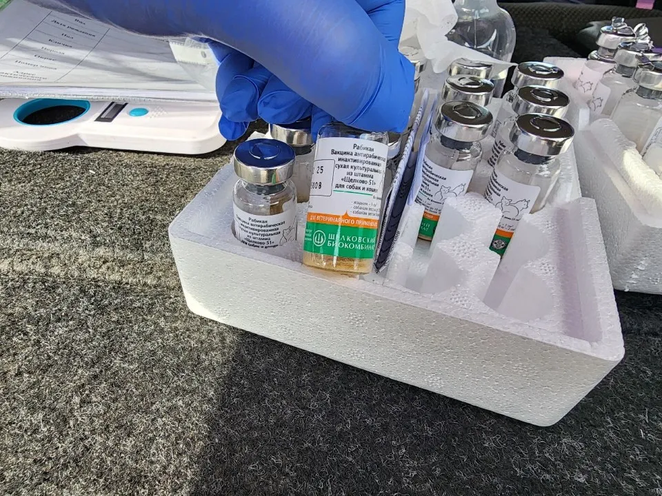 Фото: Елена Шумакова