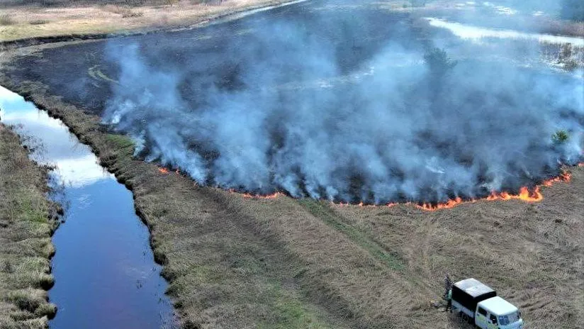 Фото: пресс-служба Комитета лесного хозяйства Московской области