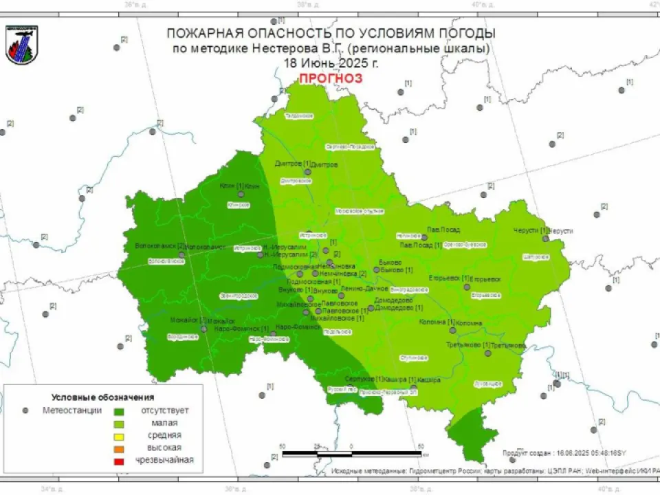 Фото: Комитет лесного хозяйства Московской области