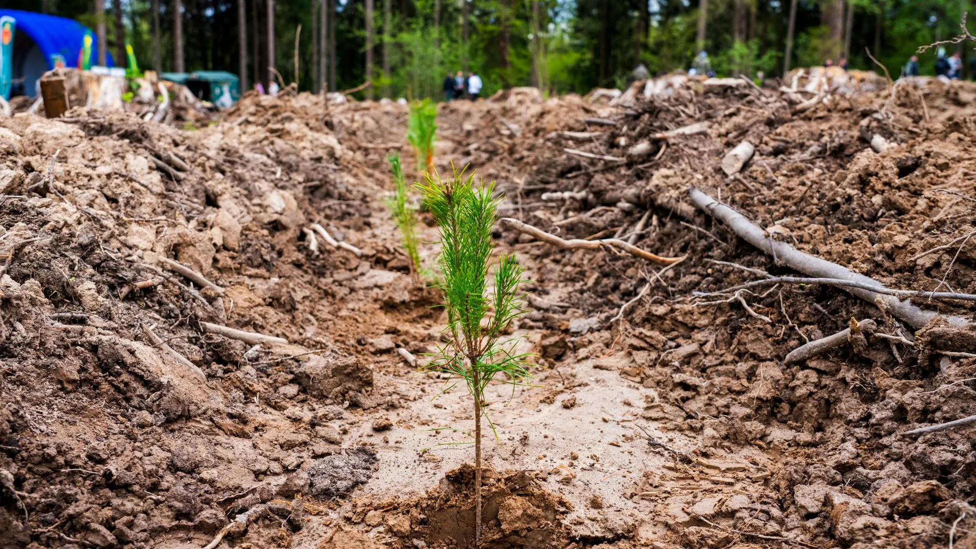 медиасток.рф