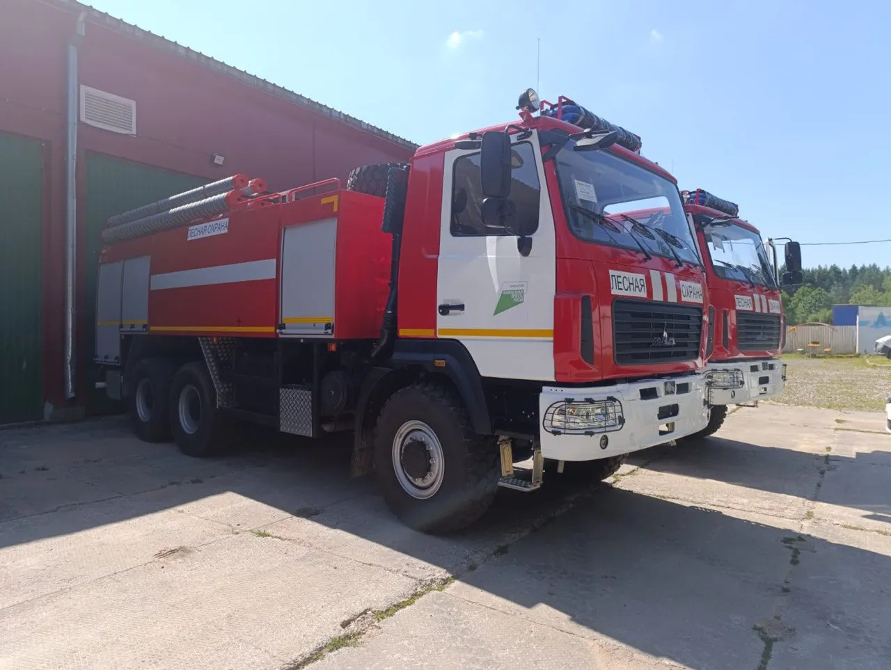 Фото: Комитет лесного хозяйства Московской области