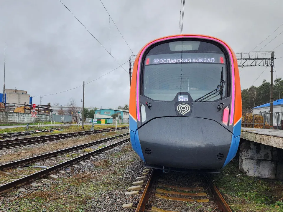 Фото: МедиаБанк Подмосковья/Екатерина Мелкозерова