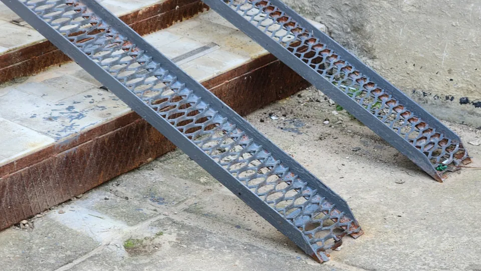 Фото: МедиаБанкПодмосковья/Анна Мороз